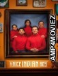 A Nice Indian Boy (2025) Hindi Movie