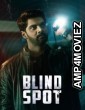 Blind Spot (2025) ORG Hindi Dubbed Movie