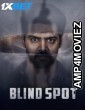 Blind Spot (2025) Telugu Movie