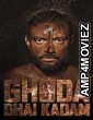 Ghoda Dhai Kadam (2023) Punjabi Movie