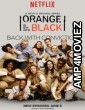Orange Is the New Black Season 2 (2014) Hindi Dubbed Season 2 Complete Show
