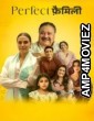 Perfect Family (2025) Season 1 Hindi Web Series